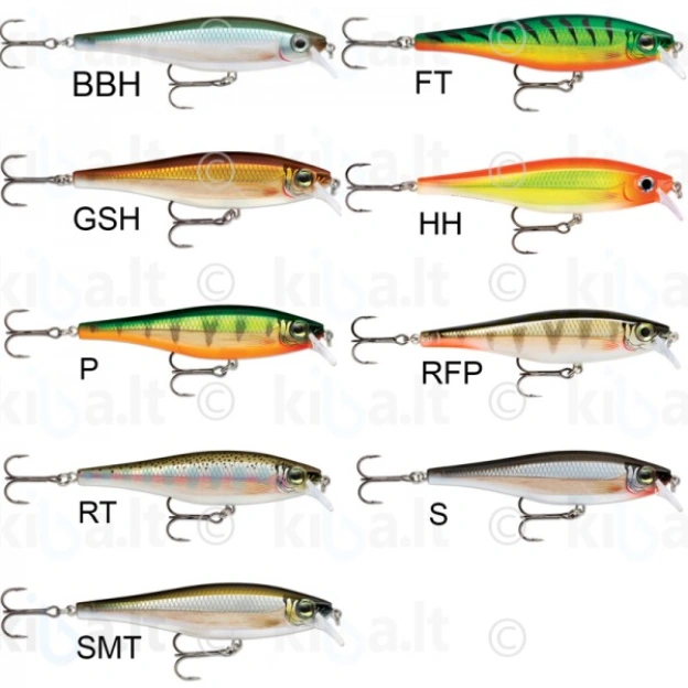 Rapala BX Minnow 10