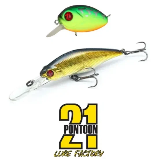 Pontoon 21