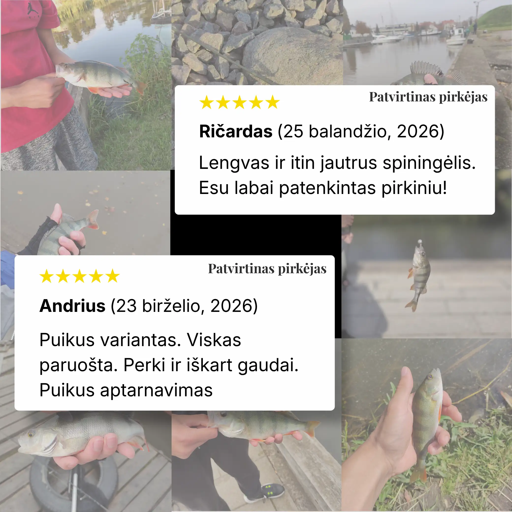 Spiningo Komplektas Ešeriams „Ešerių Kovotojas“ - Image 5